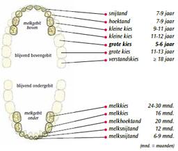 wisselschema